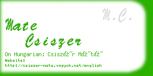 mate csiszer business card